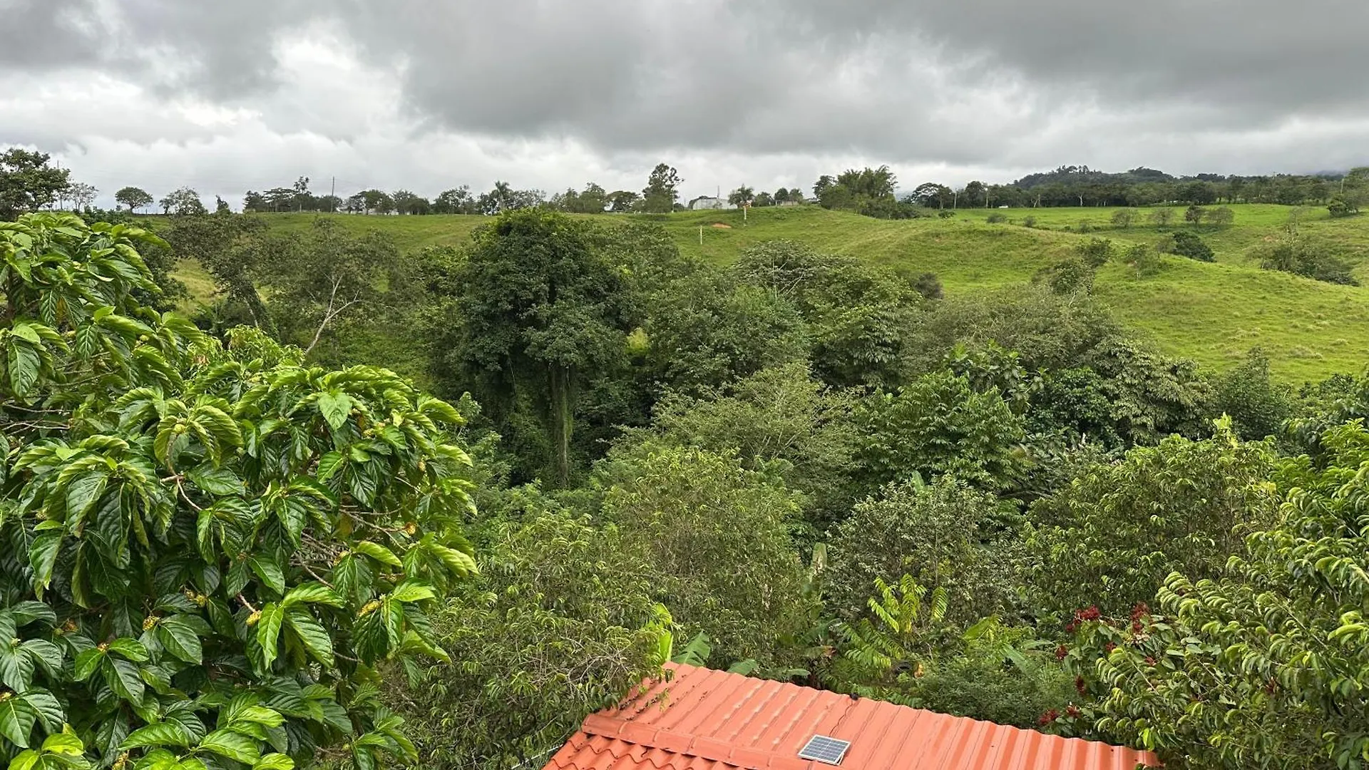فيلا La Casita Amarilla En Utuado, Puerto Rico بيت للعطل